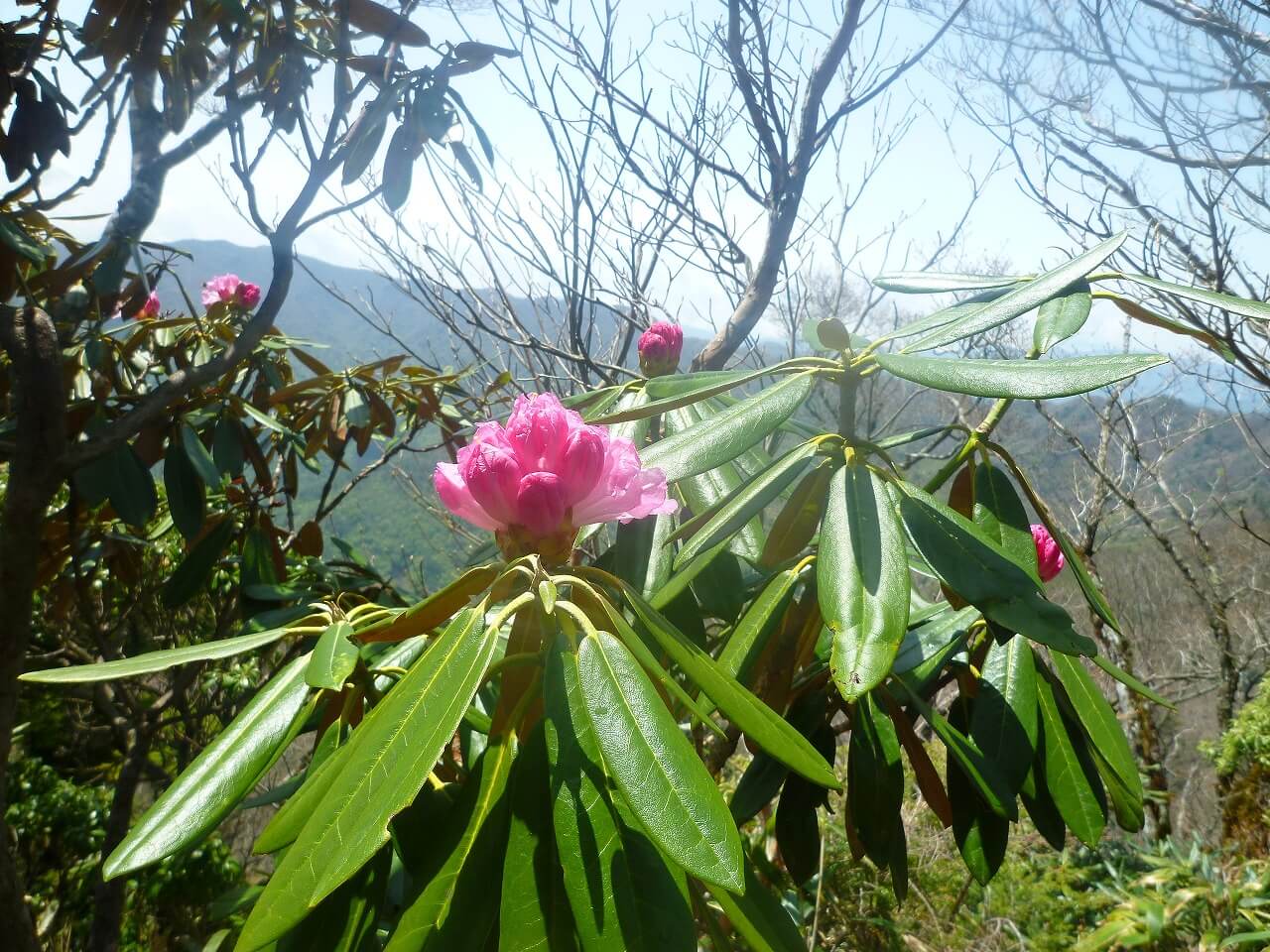 白岩山