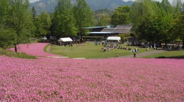 延岡植物園