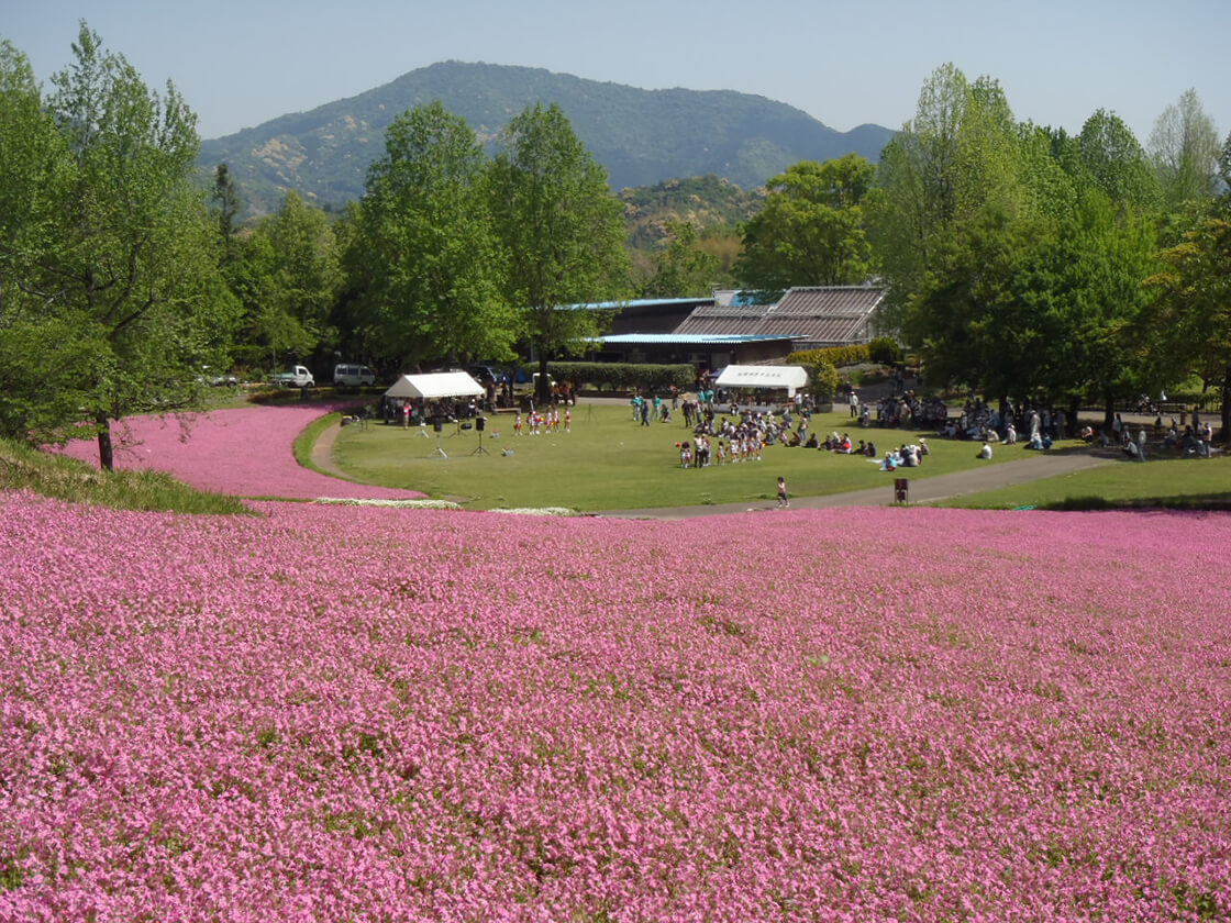 延岡植物園