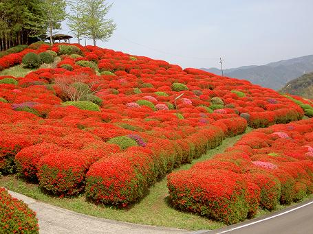 天神山つつじ公園